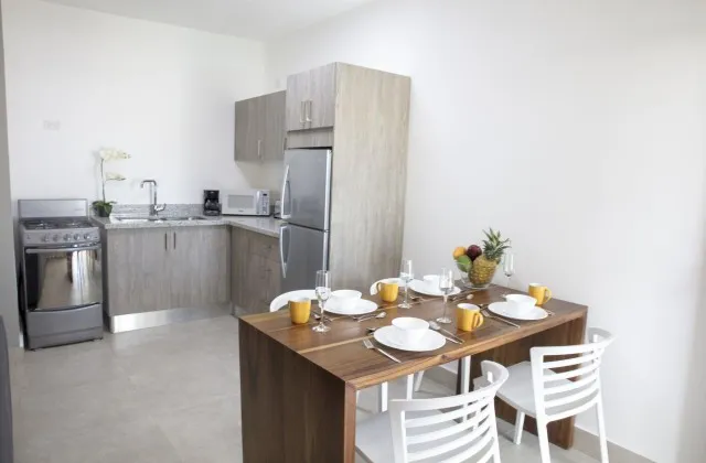 Ocean Palms Residences Cabarete Apartment Kitchen